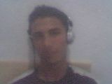 chat live avec arnoub